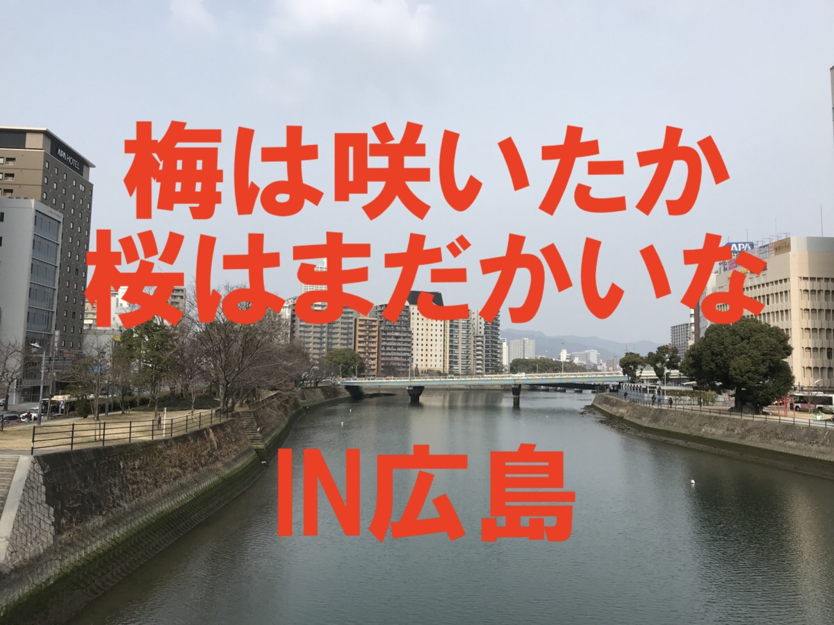 全国チェーン店なのに絶対に食べて欲しい広島グルメ３選【牡蠣（カキ）広島編】
